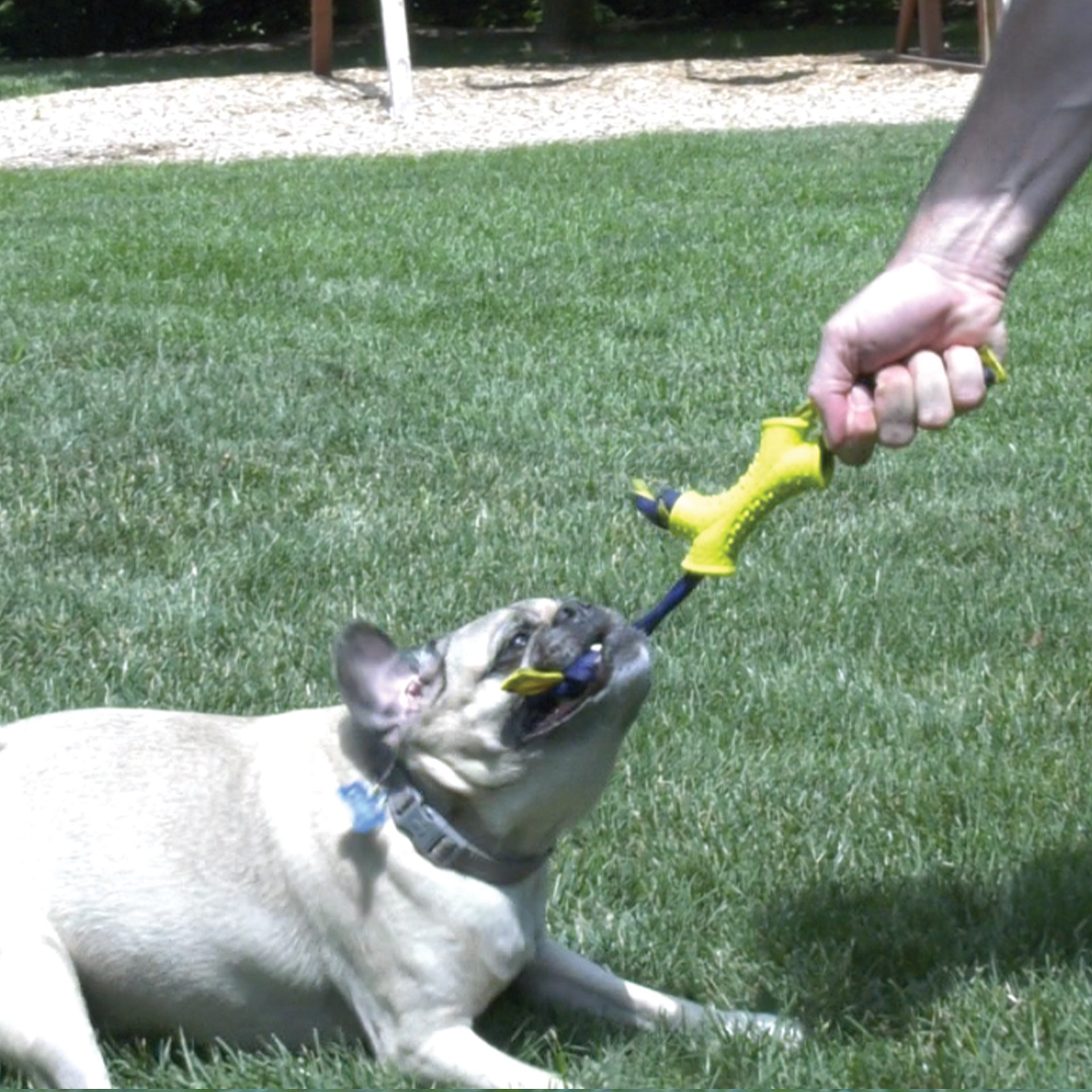 slide 8 of 10, Nylabone Power Play Interactive Dog Toy Shake-a-Toss Small/Regular - Up to 25 Ibs.(1 Count), SM