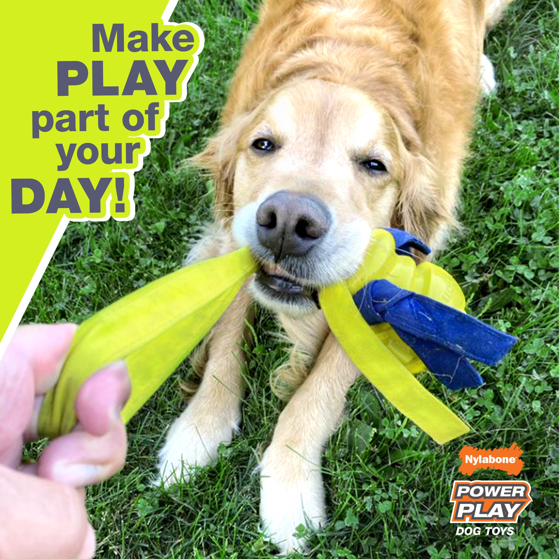 slide 2 of 10, Nylabone Power Play Interactive Dog Toy Shake-a-Toss Small/Regular - Up to 25 Ibs.(1 Count), SM