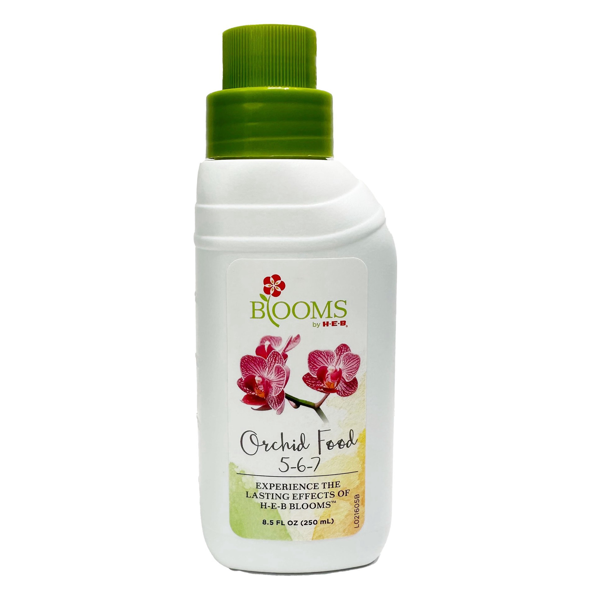 slide 1 of 1, H-E-B Blooms Orchid Food, 8.3 oz
