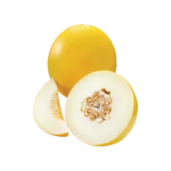 Golden Honeydew Melon