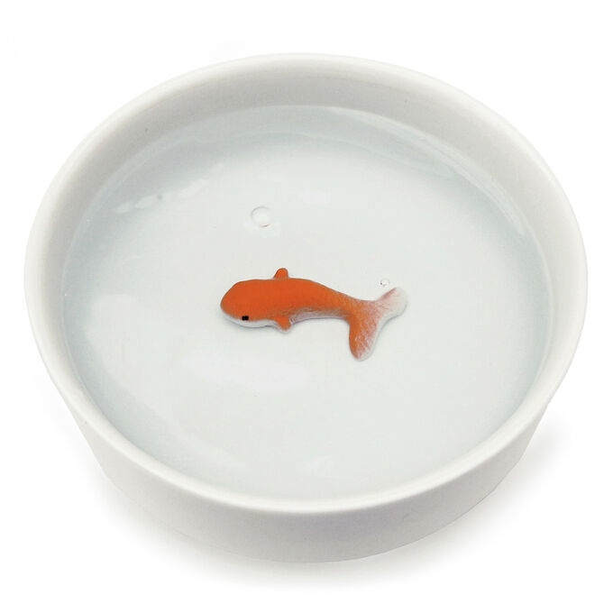 slide 1 of 1, Suck UK Goldfish Ceramic Pet Bowl, 1 ct