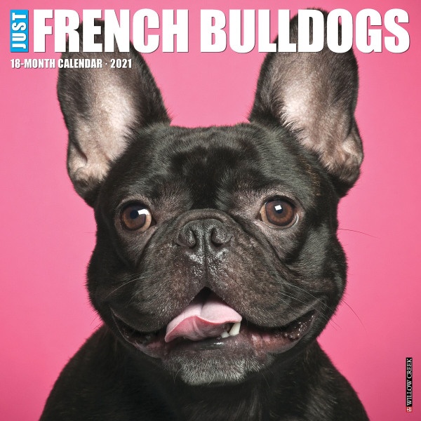 slide 1 of 3, Willow Creek Press Animal Monthly Wall Calendar, 12'' X 12'', French Bulldogs, January To December 2021, 1 ct