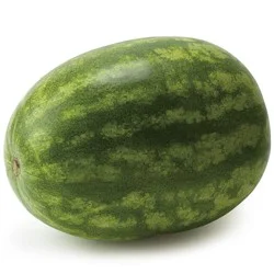 Seedless Watermelon