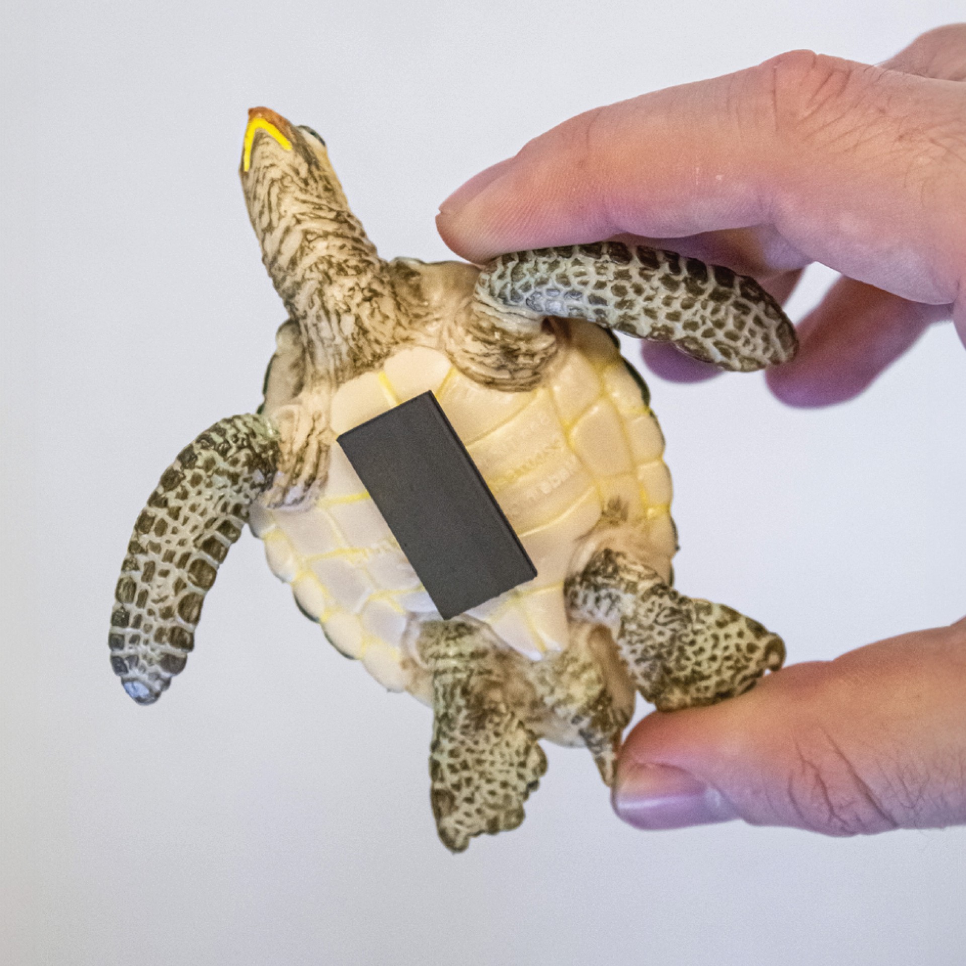 slide 4 of 4, Project Source 1/2-in x 10-ft Flexible Magnetic Tape, 1 ct