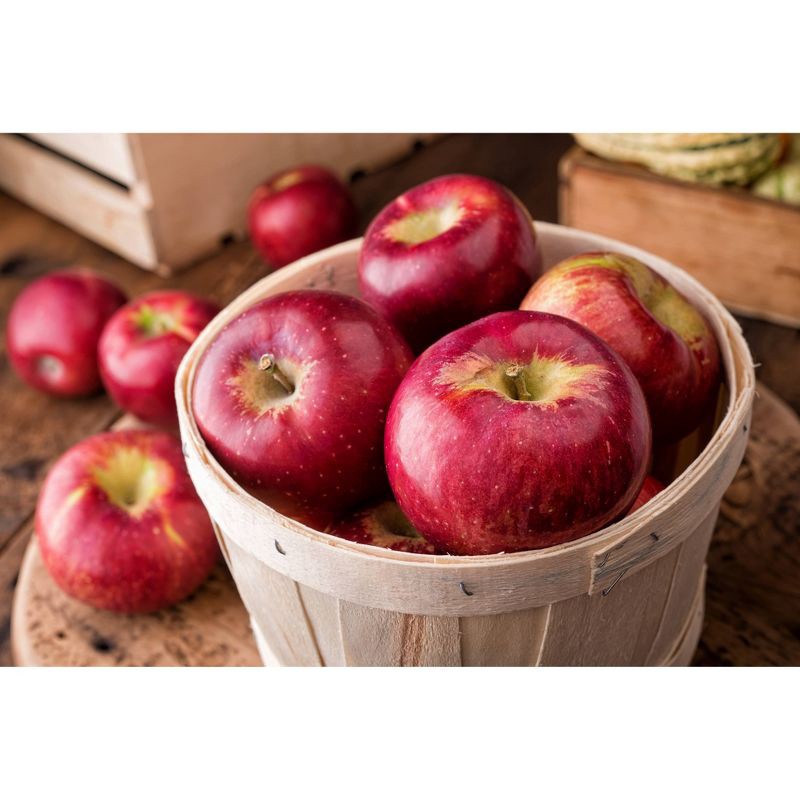 slide 3 of 5, Fresh Honeycrisp Apple - each, 1 ct