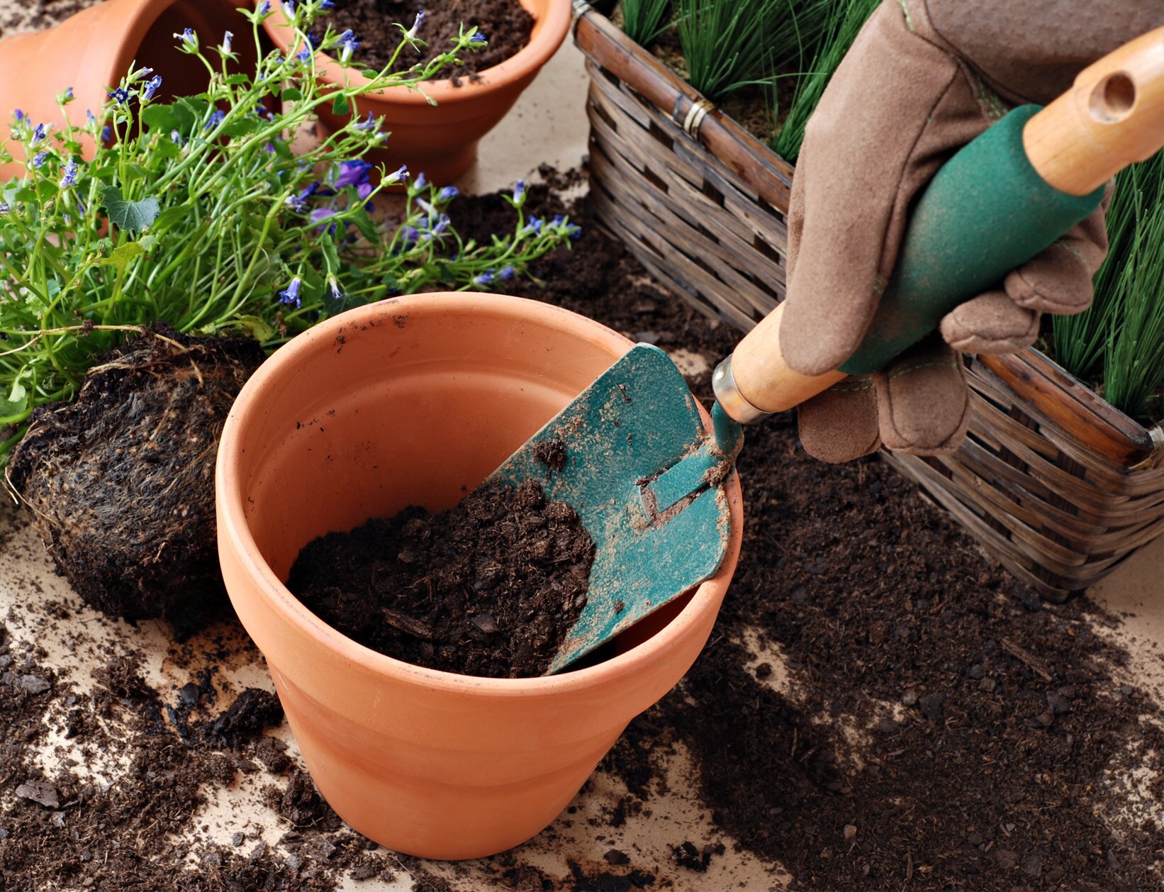 slide 2 of 5, 1.5 Cubic feet Fruit flower and vegetable Potting soil mix, 1 ct