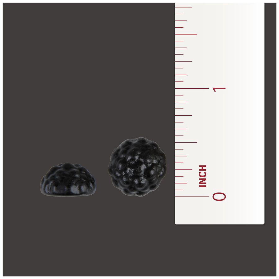 slide 5 of 5, Walgreens Elderberry Gummies with Vitamin C and Zinc, 60 ct