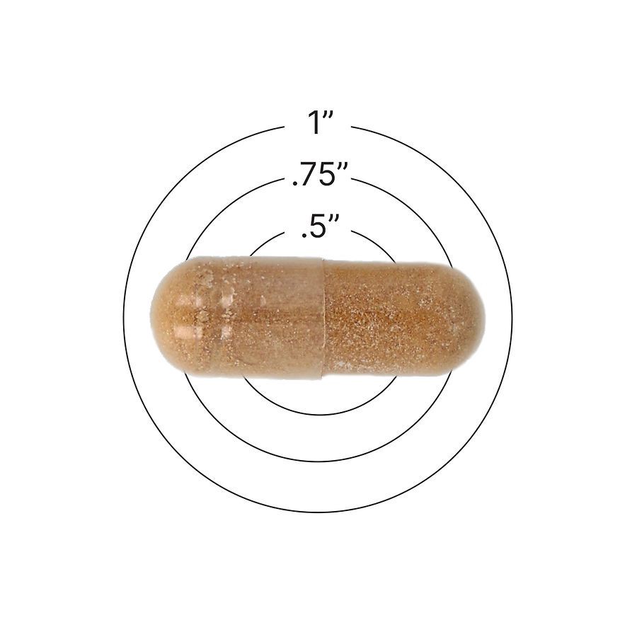 slide 2 of 5, Walgreens Free & Pure Lion's Mane Mushroom Capsules, 60 ct