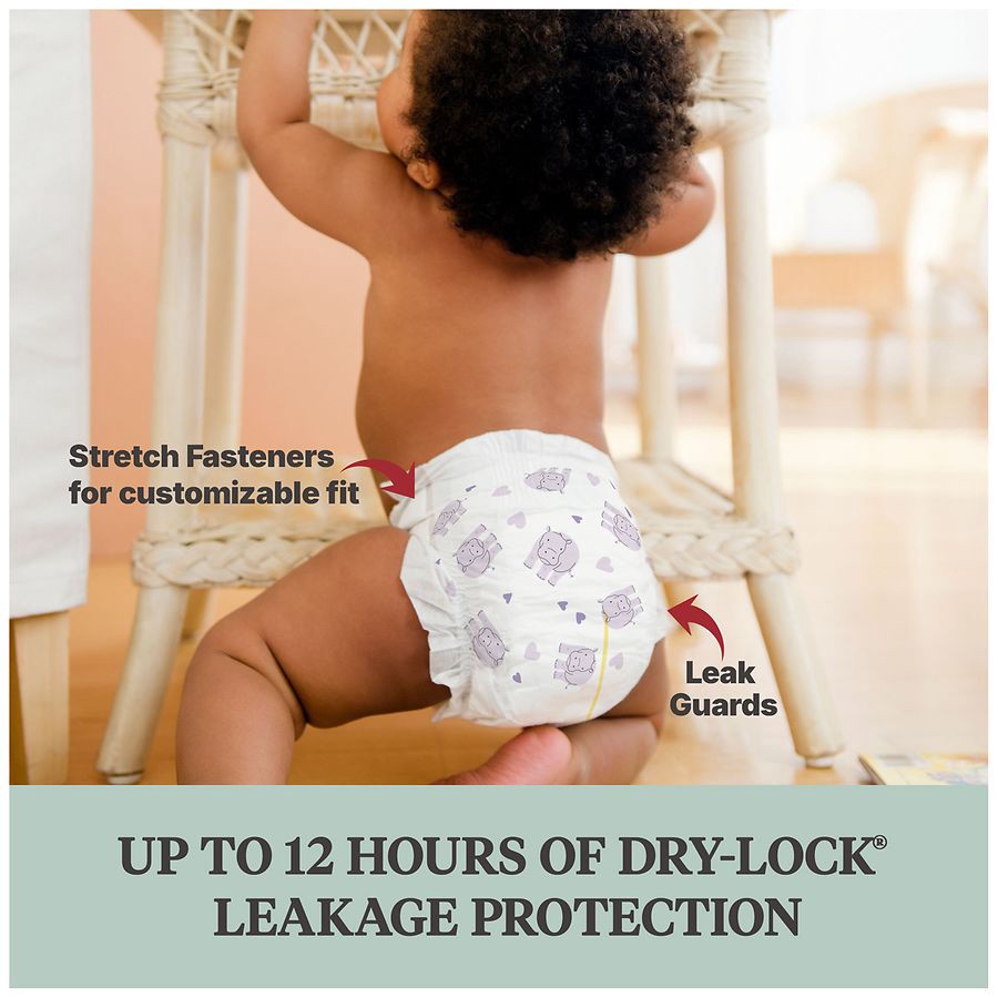 slide 3 of 5, Walgreens Soft & Absorbent Premium Baby Diapers, 5 (24 ct) 24 ct