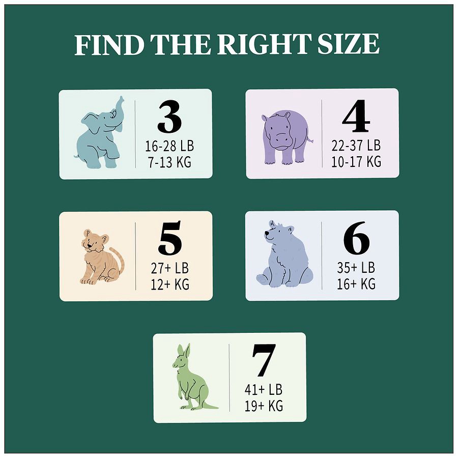 slide 2 of 5, Walgreens Soft & Absorbent Premium Baby Diapers, 5 (24 ct) 24 ct