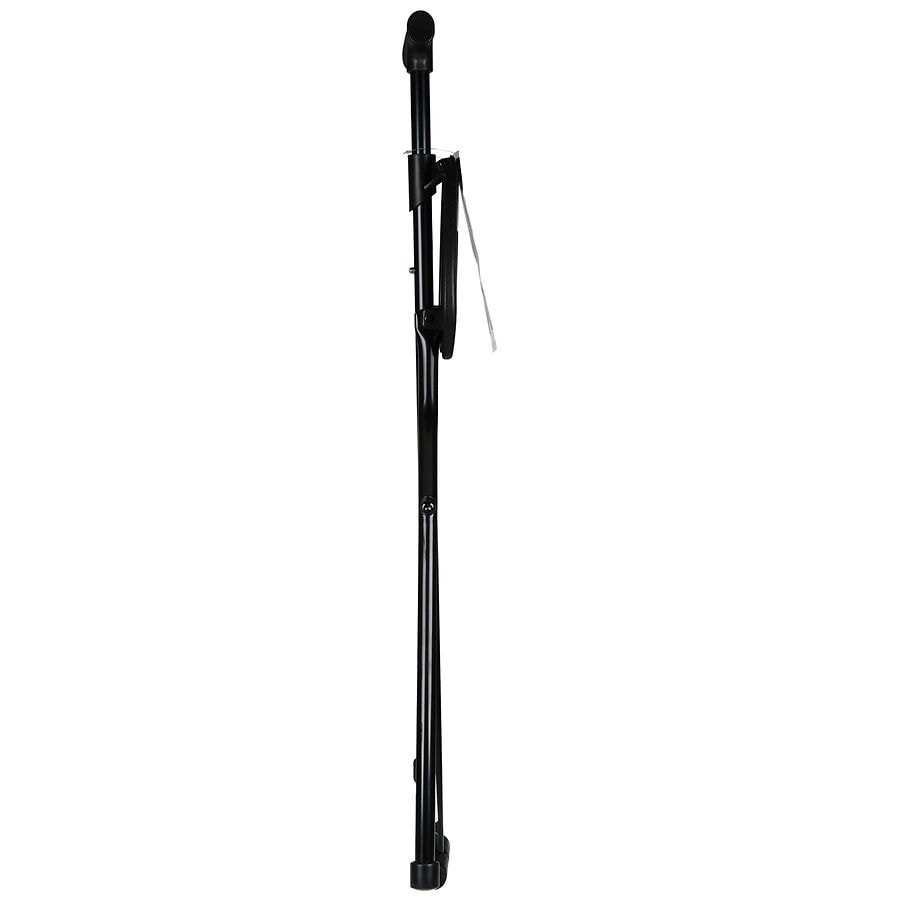 slide 2 of 5, Walgreens Cane with Folding Seat, 1 ct
