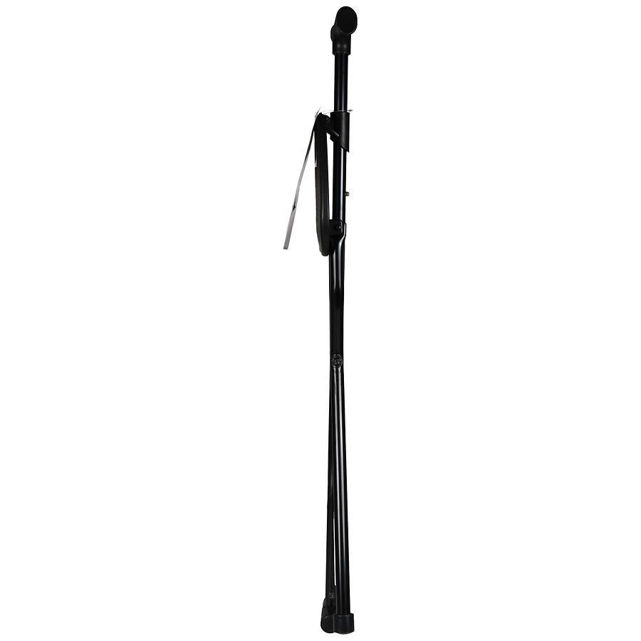 slide 5 of 5, Walgreens Cane with Folding Seat, 1 ct