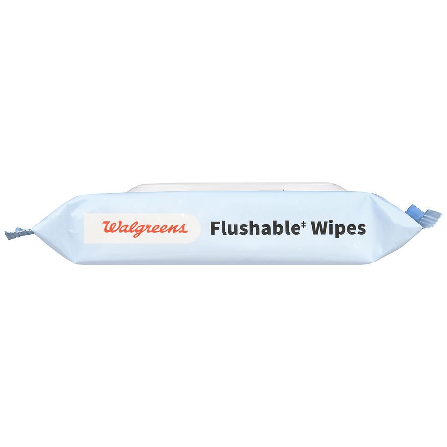 slide 3 of 5, Walgreens Flushable Wipes Sea Incense, 42 ct