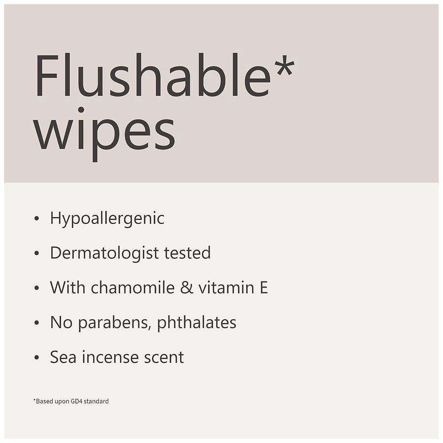 slide 4 of 5, Walgreens Flushable Wipes Sea Incense, 42 ct