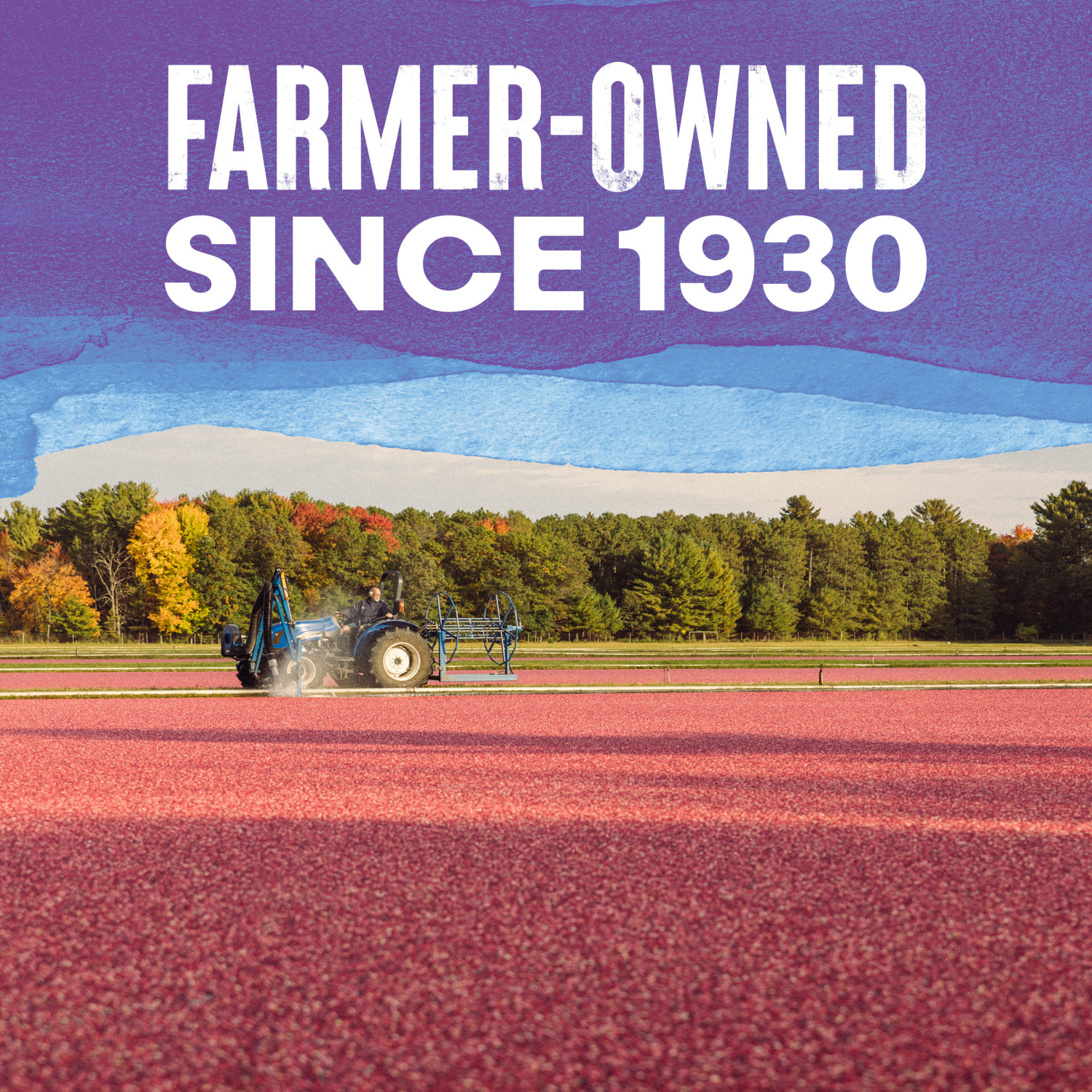 slide 5 of 5, Ocean Spray 6oz Craisins Dried Cranberries- Sour Blueberry Lemon Flavor, 6 oz