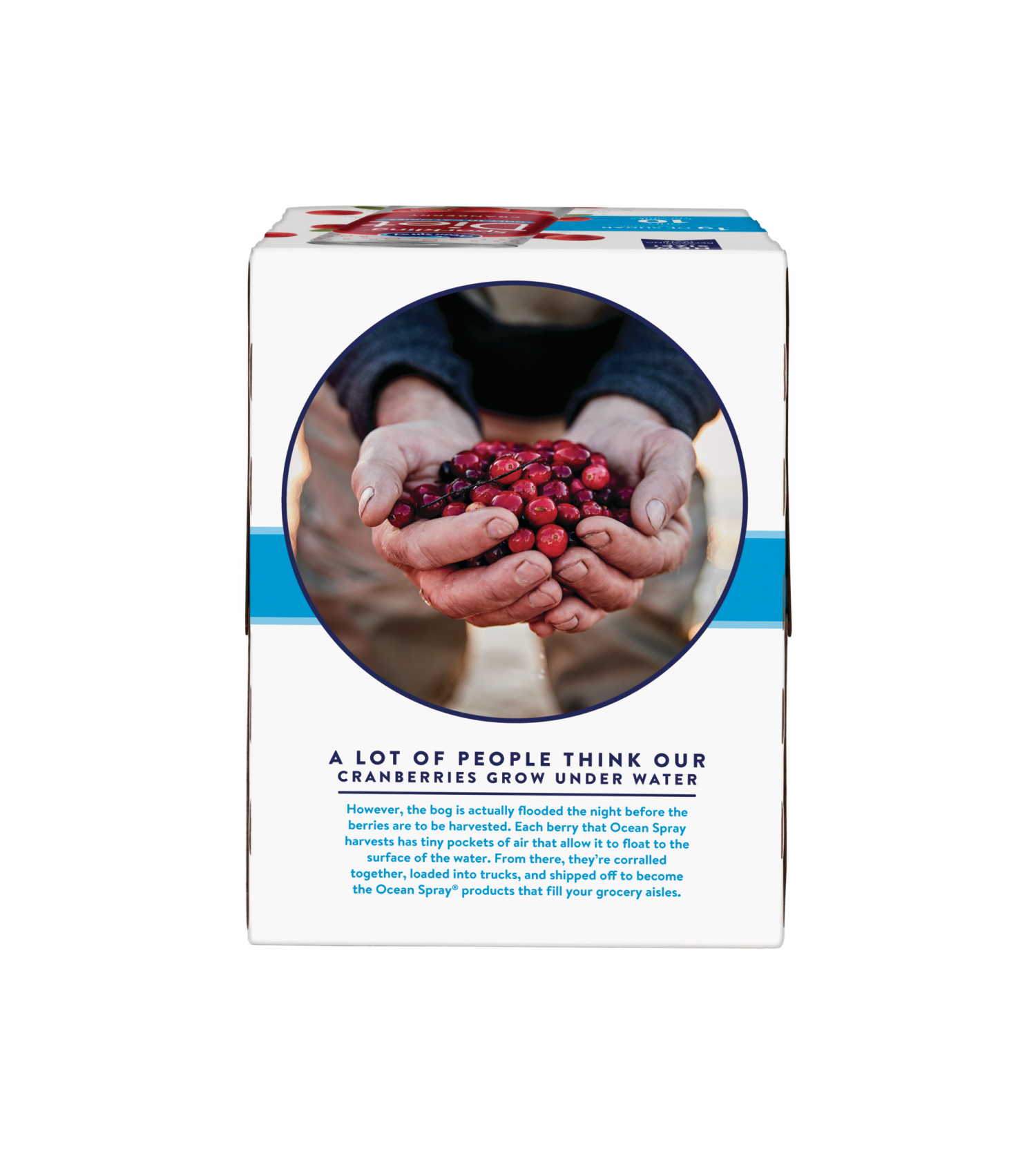 slide 2 of 6, Ocean Spray 4/11.5oz Diet Sparkling Cranberry, 4 ct; 11.5 fl oz