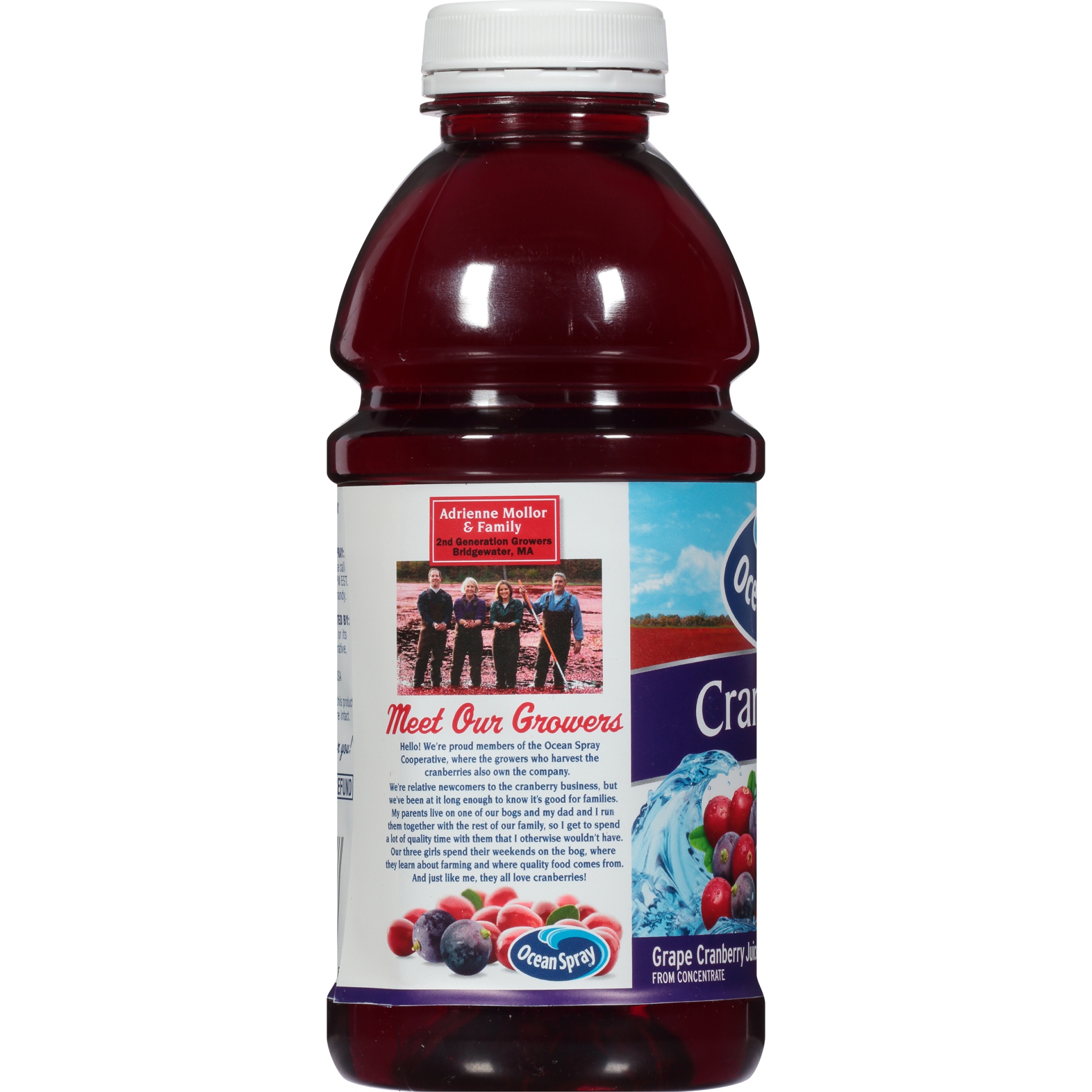 slide 2 of 6, Ocean Spray Cran-Grape Juice, 25 fl oz