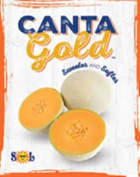 Cantaloupes-Cantagold