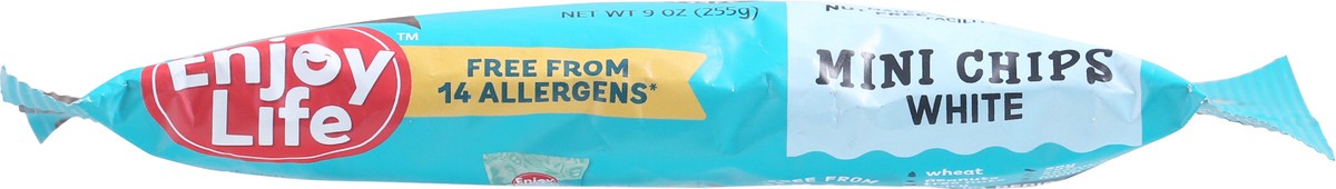 slide 3 of 9, ENJOY LIFE NATURAL BRANDS LLC Baking Chocolate 3D - Mini Chips - White Chocolate Film Enjoy Life Redesign 9oz - 255g English, 9 oz