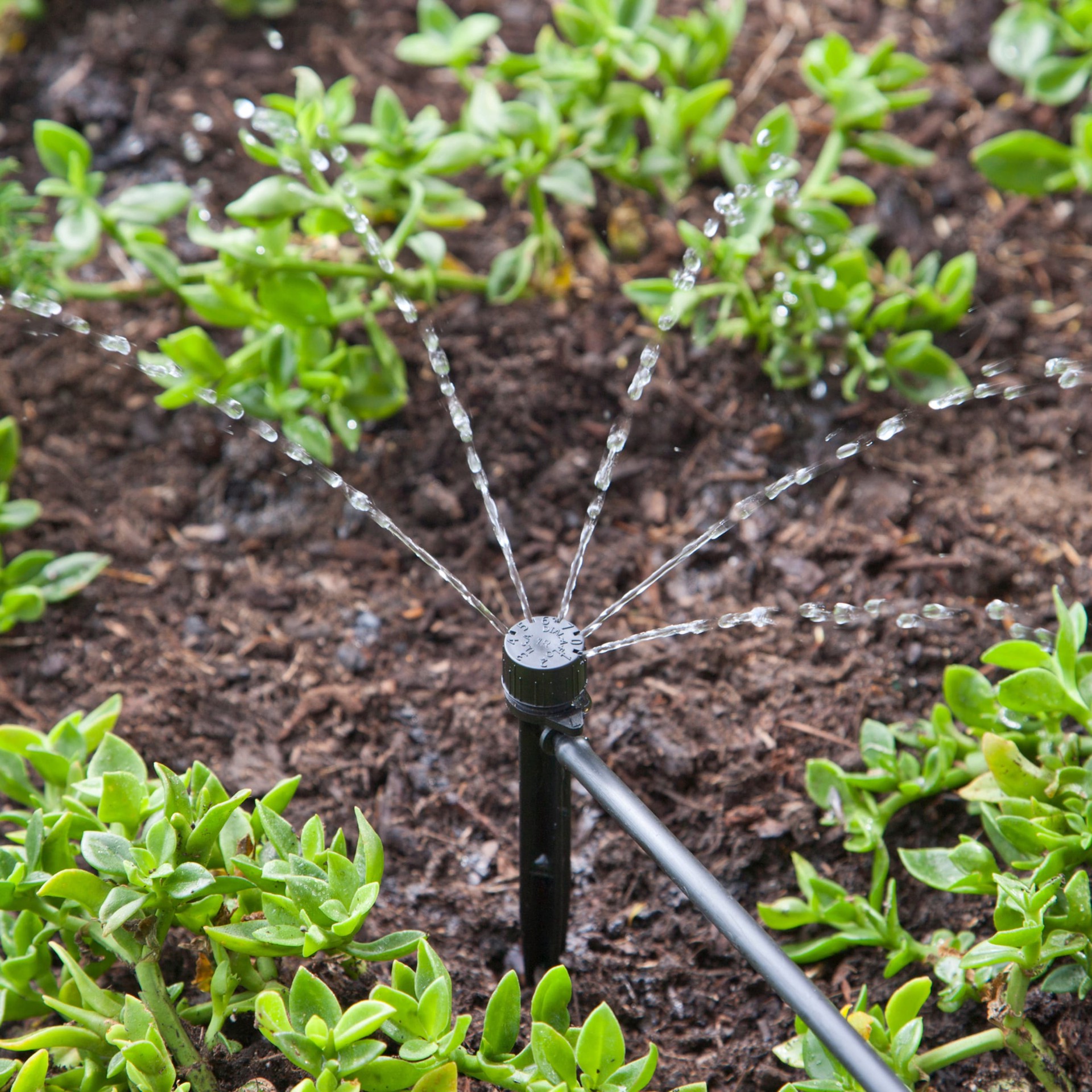 slide 2 of 6, Raindrip 11 GPH Half-circle Drip Irrigation Bubbler 3 -Pack, 1 ct