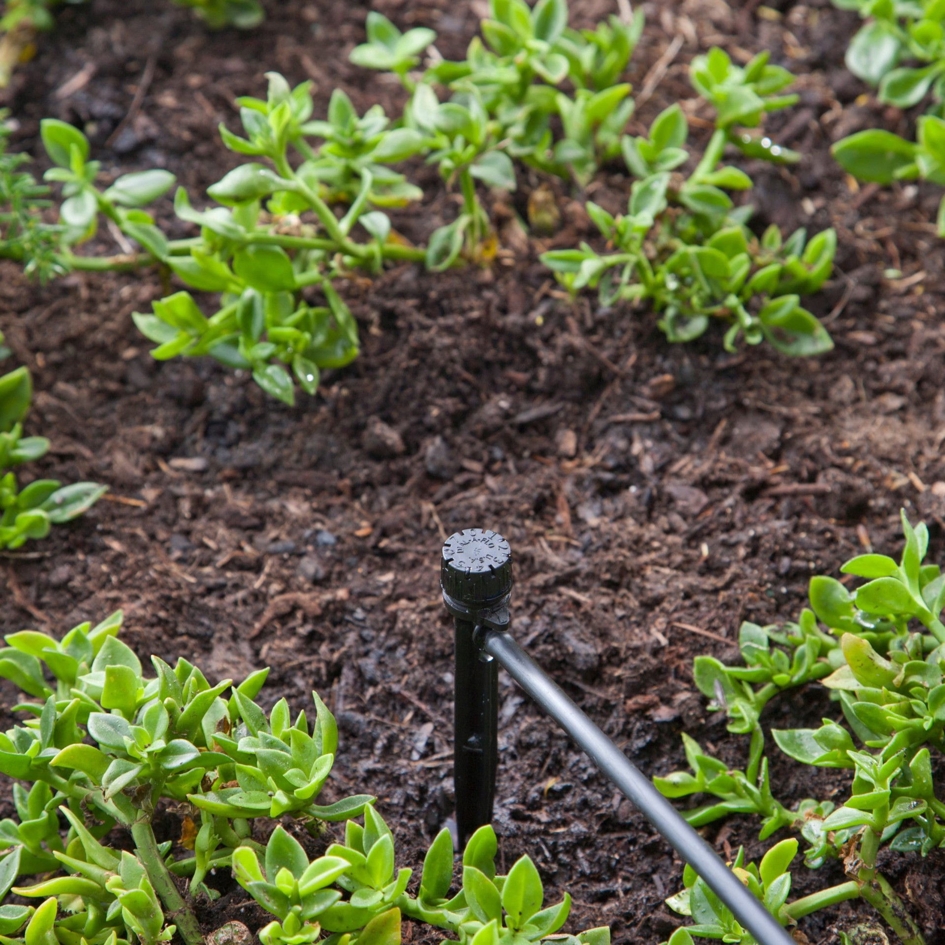 slide 3 of 6, Raindrip 11 GPH Full-circle Drip Irrigation Multi-Stream Dripper Stake, 1 ct