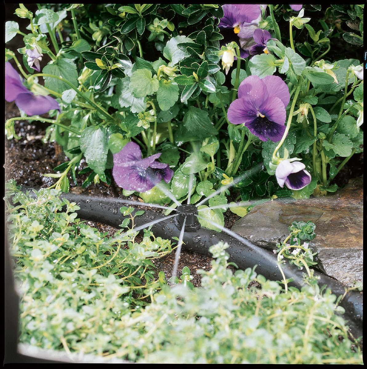 slide 3 of 3, Orbit 16 GPH Drip Irrigation Flag Dripper 10 -Pack, 1 ct