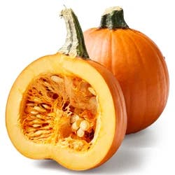 Pie Pumpkin