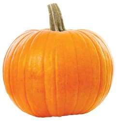 H-E-B Texas Roots Pie Pumpkin