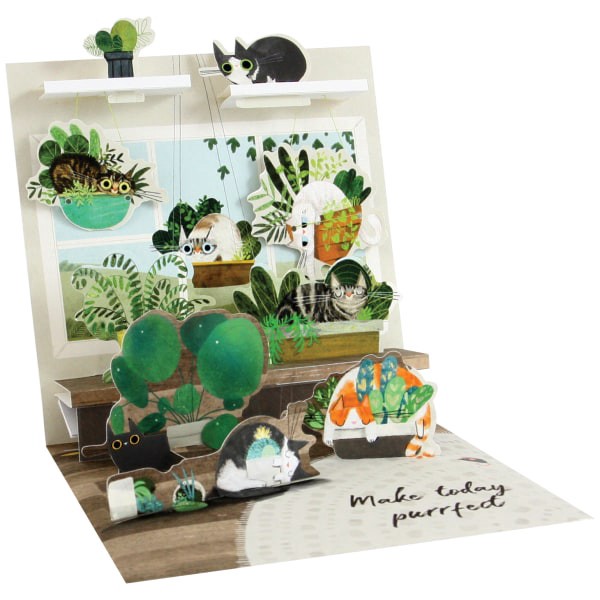 slide 1 of 1, Up With Paper Summer Pop-Up Greeting Card With Envelope, Half Fold, 5-1/4" X 5-1/4", Cats In Plants, 1 ct