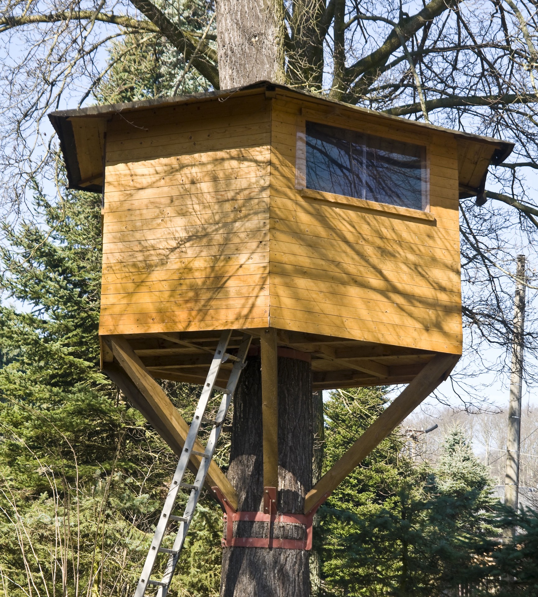 slide 3 of 5, TUFFAK 0.093-in T x 8-in W x 10-in L Clear Polycarbonate Sheet, 1 ct