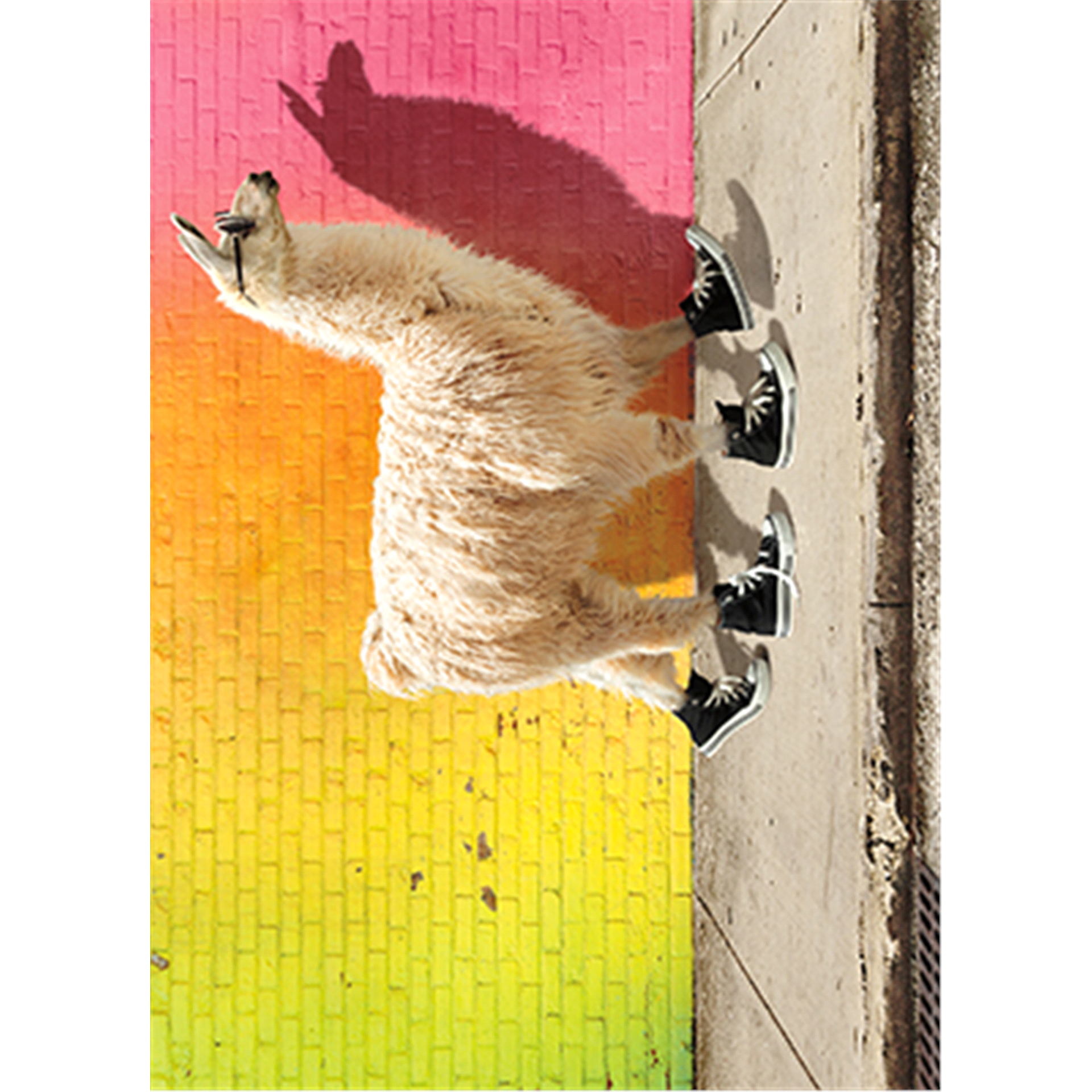 slide 1 of 1, Avanti Card Graduation Cool Llama, 1 ct