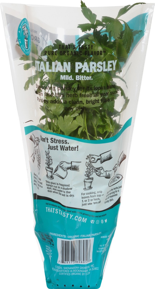 slide 7 of 10, That's Tasty Living Organic Parsley, 1 ct