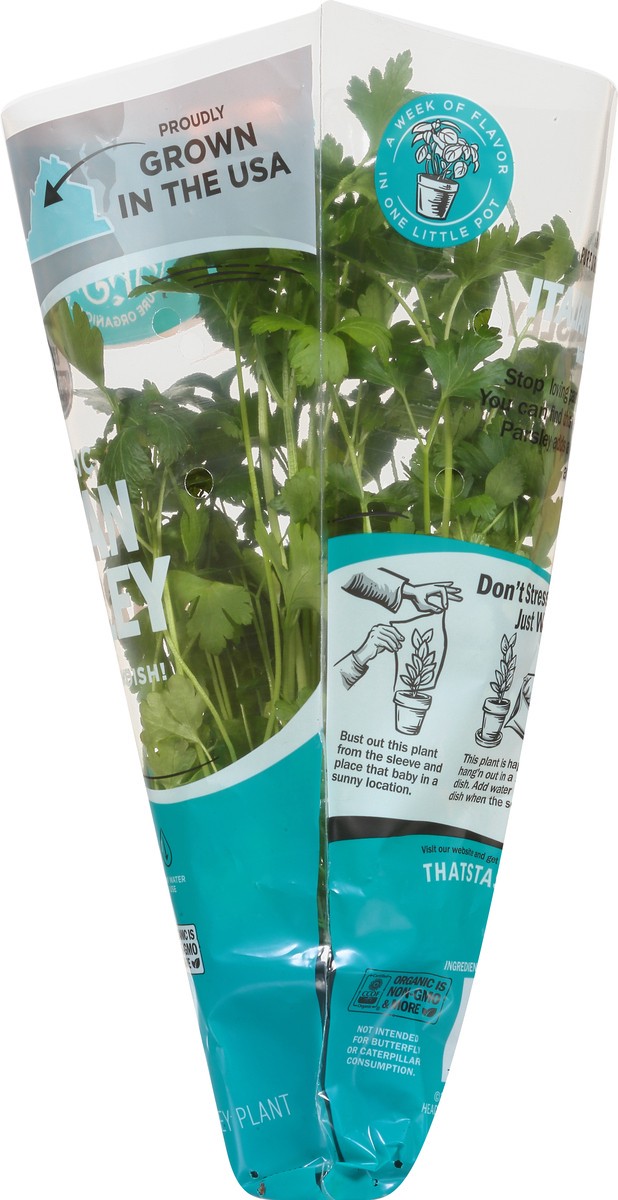 slide 2 of 10, That's Tasty Living Organic Parsley, 1 ct