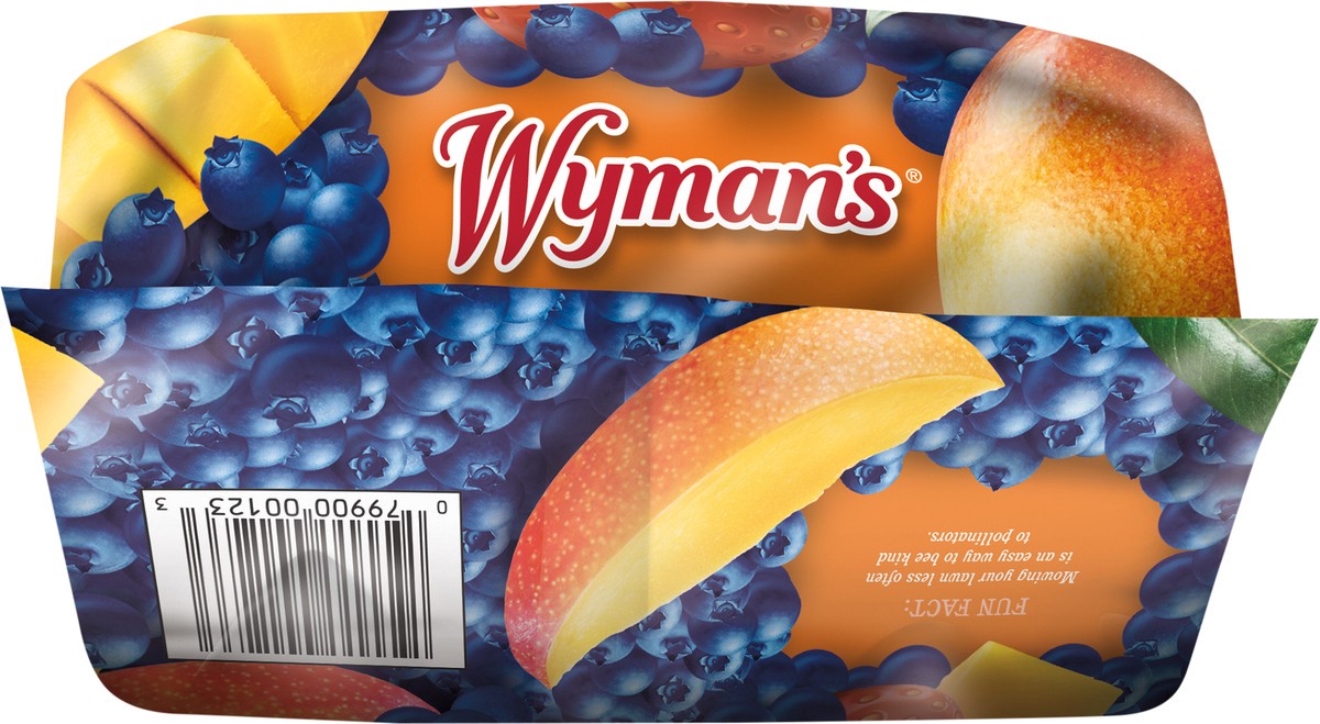 slide 2 of 7, Wyman's Mango Berry 3 lb, 48 oz