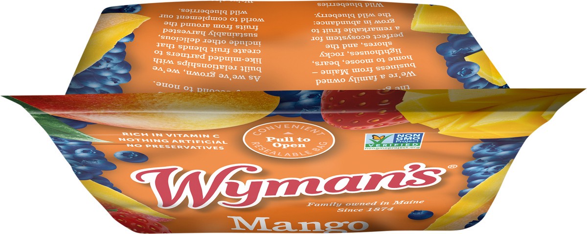 slide 7 of 7, Wyman's Mango Berry 3 lb, 48 oz