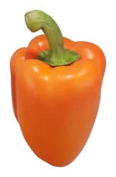 Orange Peppers
