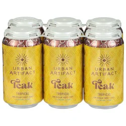 Urban Artifact Teak Tropical American Fruit Tart Beer - 6 x 12 fl oz Cans