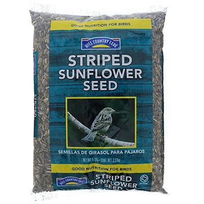 slide 1 of 1, Hill Country Fare Striped Sunflower Seed, 5 lb