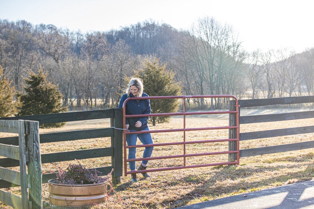 slide 3 of 6, Tarter 4-ft H x 6-ft W Red e-coat Steel Farm Standard Gate Fence gate, 1 ct