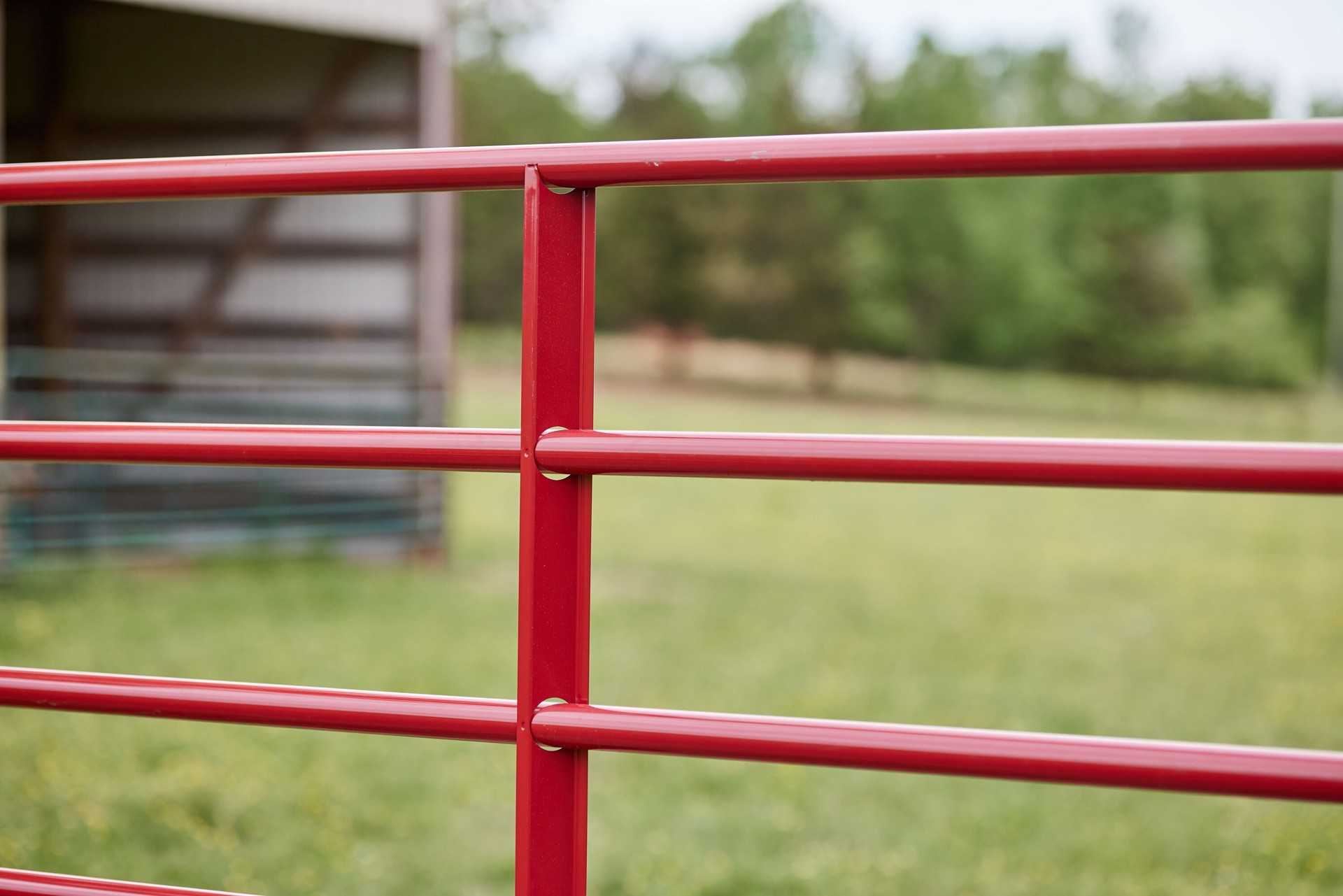 slide 3 of 6, Tarter 4-ft H x 4-ft W Red e-coat Steel Farm Standard Gate Fence gate, 1 ct