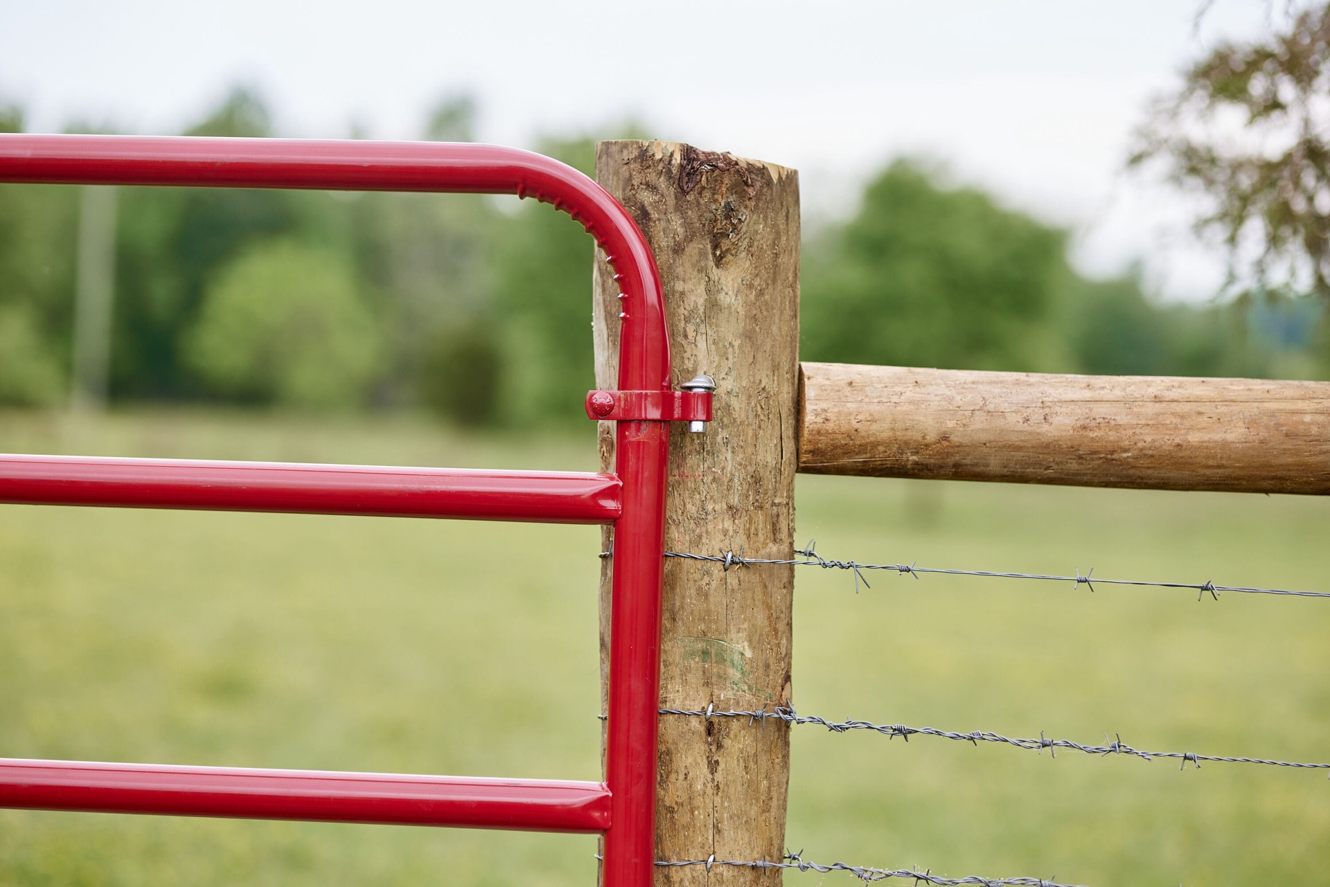 slide 4 of 6, Tarter 4-ft H x 4-ft W Red e-coat Steel Farm Standard Gate Fence gate, 1 ct