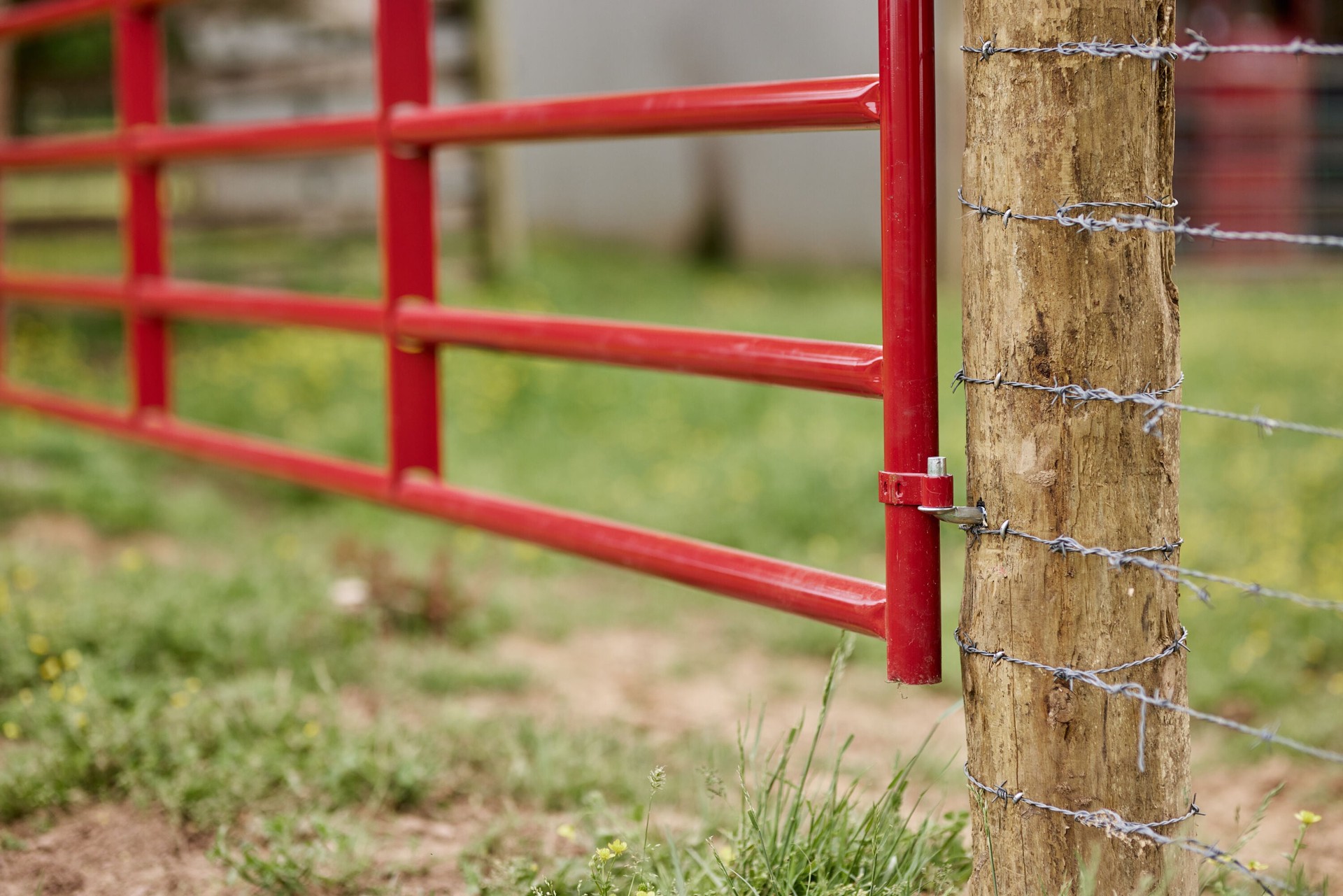 slide 5 of 6, Tarter 4-ft H x 4-ft W Red e-coat Steel Farm Standard Gate Fence gate, 1 ct