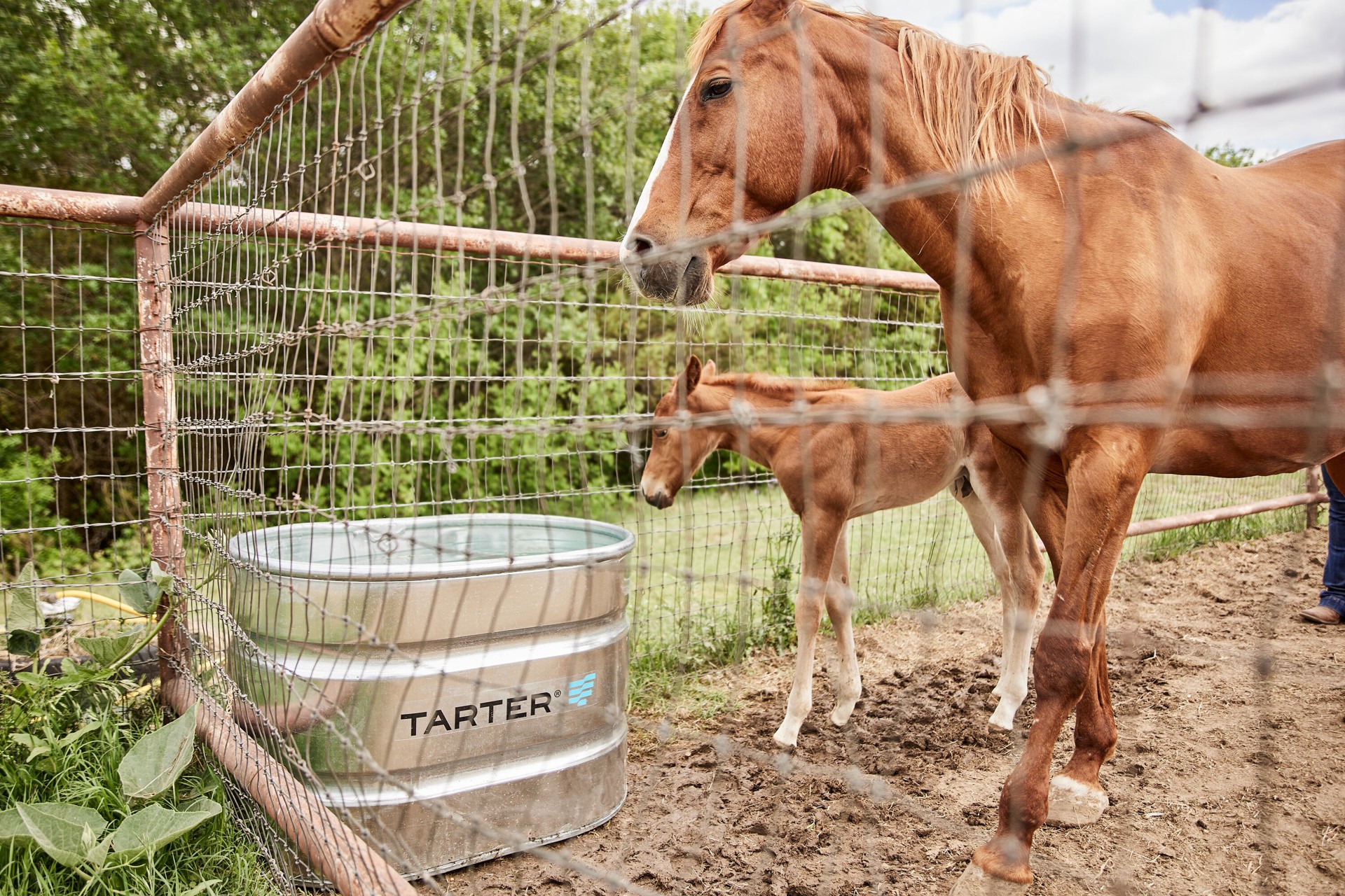 slide 5 of 6, Tarter 70-Gallon Galvanized steel Galvanized steel Stock Tank, 1 ct