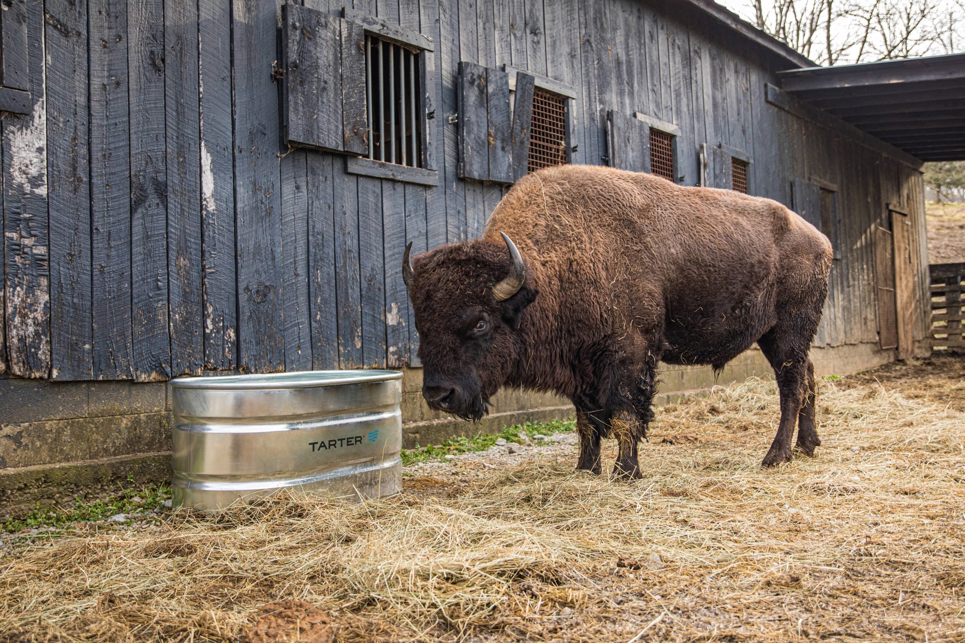slide 5 of 6, Tarter 100-Gallon Galvanized steel Galvanized steel Stock Tank, 1 ct