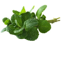 Mint Bunch Organic