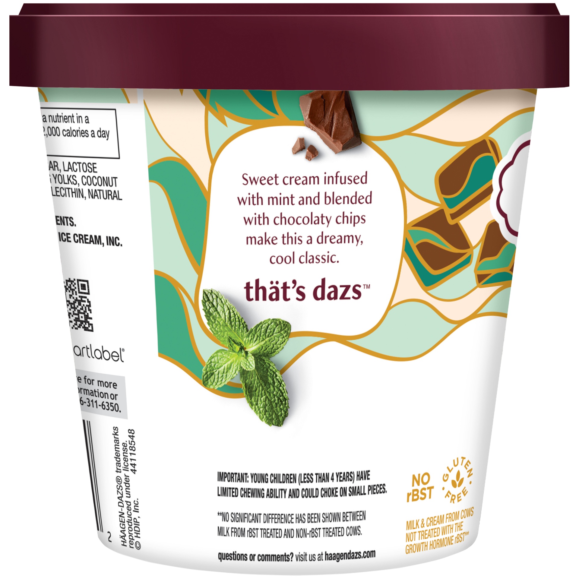 slide 5 of 7, Haagen-Dazs Mint Chip Ice Cream, 14 fl oz