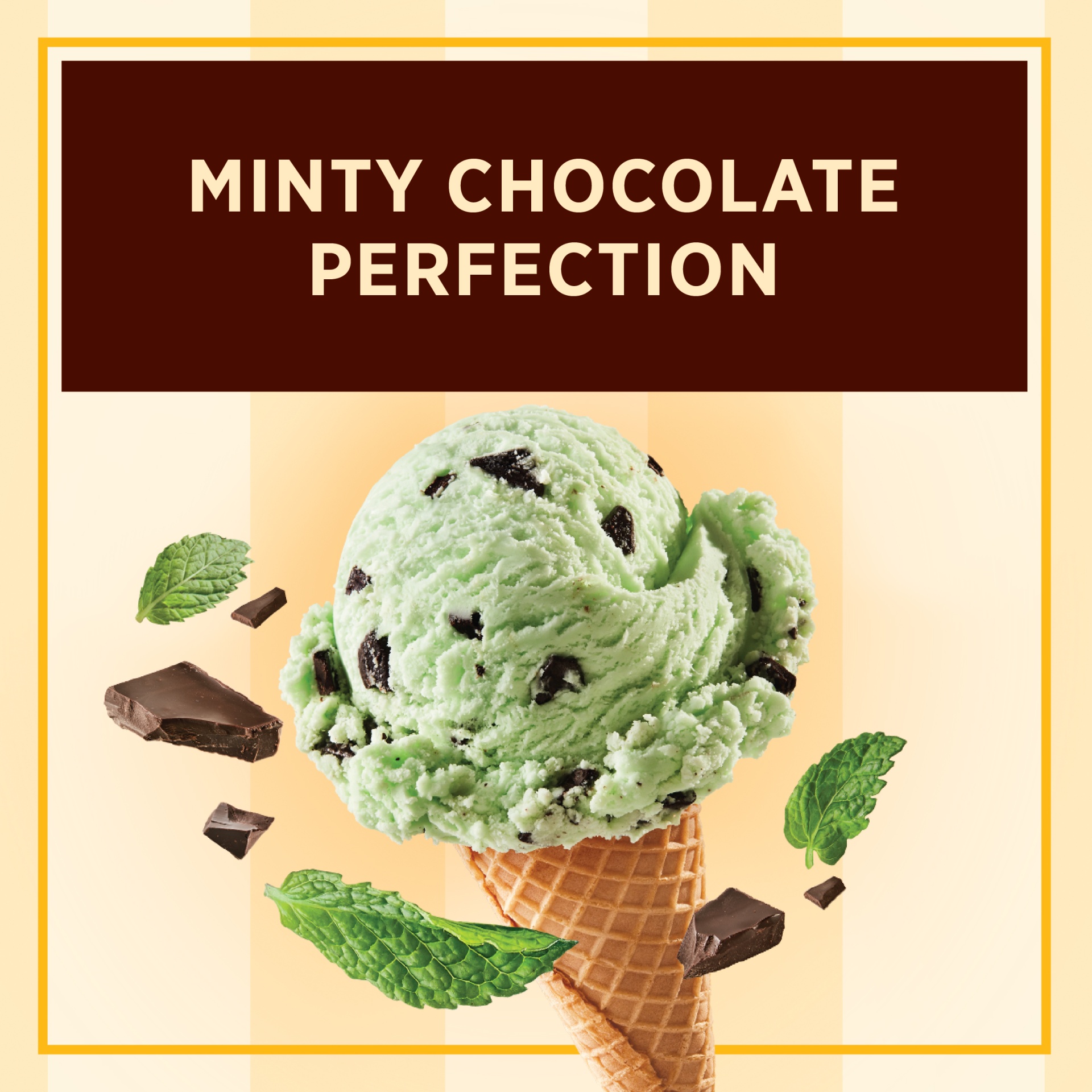Edy's Slow Churned Mint Chocolate Chip Light Ice Cream 1.5 qt Shipt