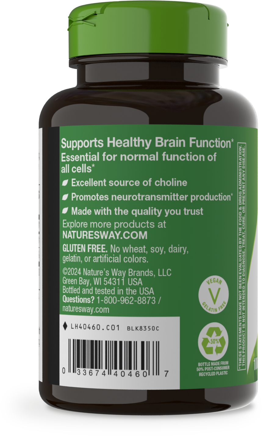 slide 2 of 4, Nature's Way Choline, 100 ct