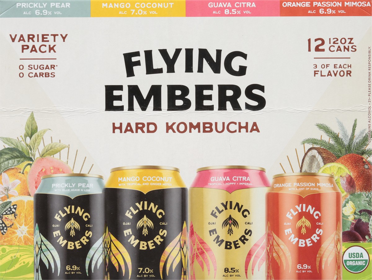 slide 5 of 9, Flying Embers Hard Kombucha Variety, 1 ct