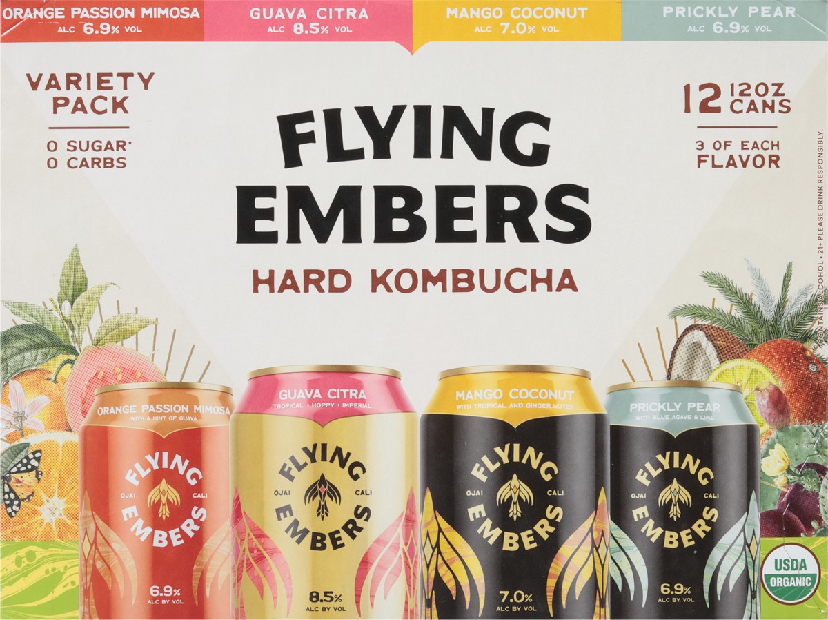 slide 3 of 9, Flying Embers Hard Kombucha Variety, 1 ct